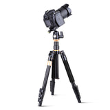 QZSD Q555 55.5 Inches Aluminium Alloy Camera Video Tripod Monopod with Quick Release Plate