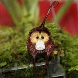 Egrow 200PCS Monkey Face Orchids Seeds Multiple Varieties Plants Garden Bonsai Flower
