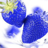 500Pcs Blue Strawberry Rare Fruit Vegetable Seeds Bonsai Edible Garden Climbing Plant