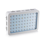 Bigin Double Chips LED Grow Light 600W/800W/1200W Full Spectrum Grow Lamp for Greenhouse Hydroponic Indoor Plants