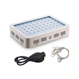 Bigin Double Chips LED Grow Light 600W/800W/1200W Full Spectrum Grow Lamp for Greenhouse Hydroponic Indoor Plants